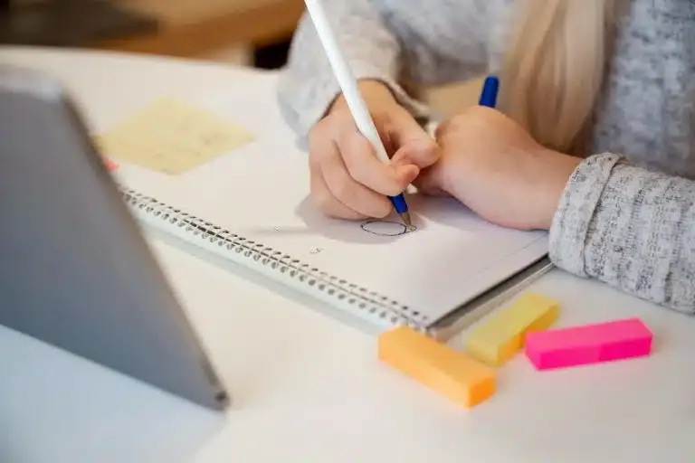 Education and e-learning website development